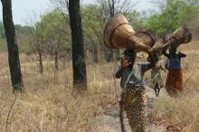 unterwegs zum South Luangwa