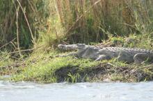 Eindrücke am Lower Zambezi