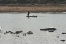Blick auf den Luangwa River