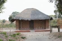Bisastamm