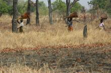 unterwegs zum South Luangwa