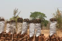 unterwegs zum Lower Zambezi