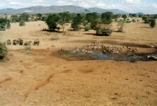 Wasserloch im Taita Hills Reservat