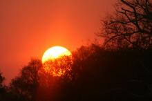 Sundowner