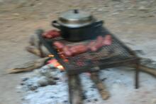 im Kasanka NP