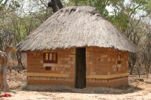 Bisa-Stamm