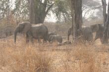 unterwegs zum South Luangwa