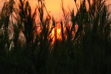 Sonnenuntergang