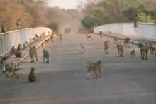 Eingang zum South Luangwa