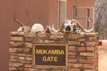 Lower Zambezi Nationalpark